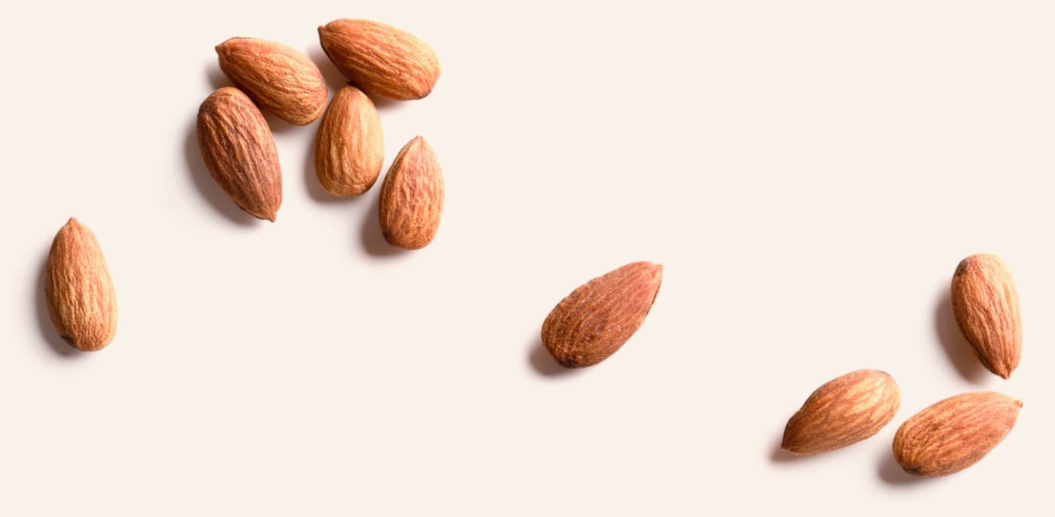 Nuts arranged near the bottom of the section